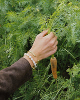 Cleo Bangle Gold
