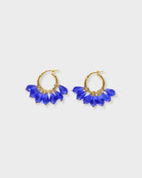 Alex Piccolo Hoops Gold
