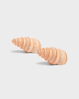 Shell Salt and Pepper Shakers