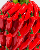 Red Chili Pepper Vase