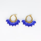 Alex Piccolo Hoops