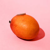 Amalfi Eternity Ring 14k Gold