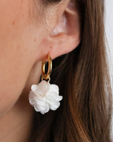 Lotus Colore Piccolo Hoops Gold