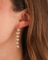 Koya Eardrops Gold