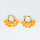 Alex Piccolo Hoops