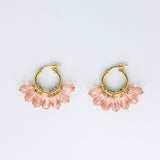 Alex Piccolo Hoops