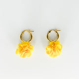 Lotus Colore Hoops