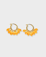 Alex Piccolo Hoops Gold