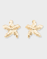 Seastar Studs