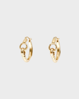 Maxime Hoops