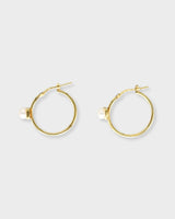 Louie Hoops Gold
