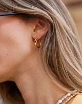 Maxime Hoops Gold