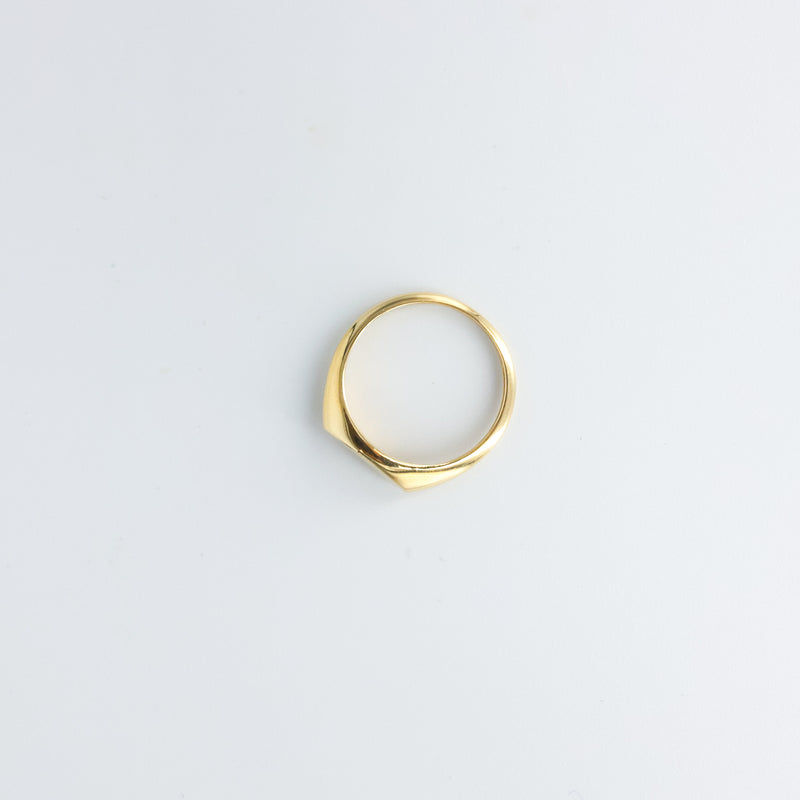 Slim Signet Ring 14k Gold