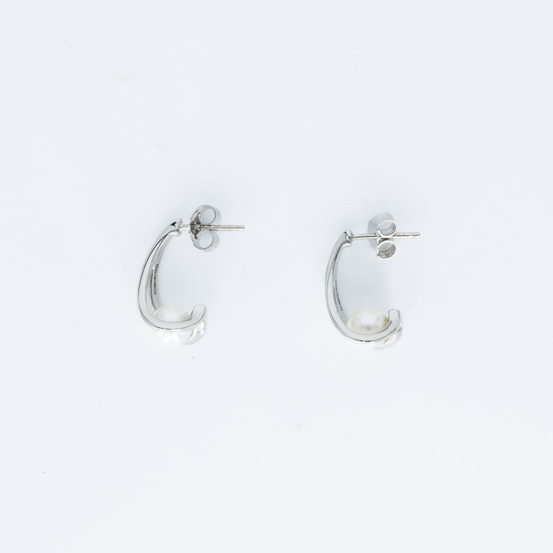 Raya Eardrops
