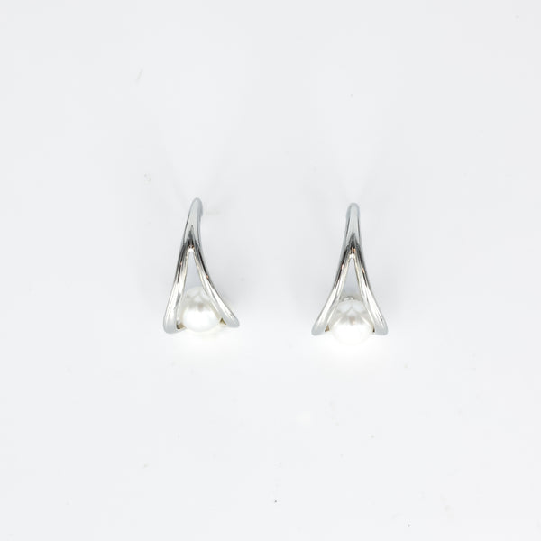 Raya Eardrops