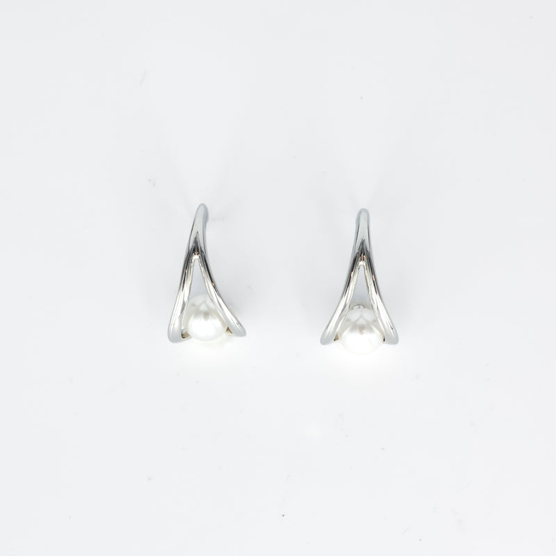 Raya Eardrops