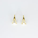 Raya Eardrops