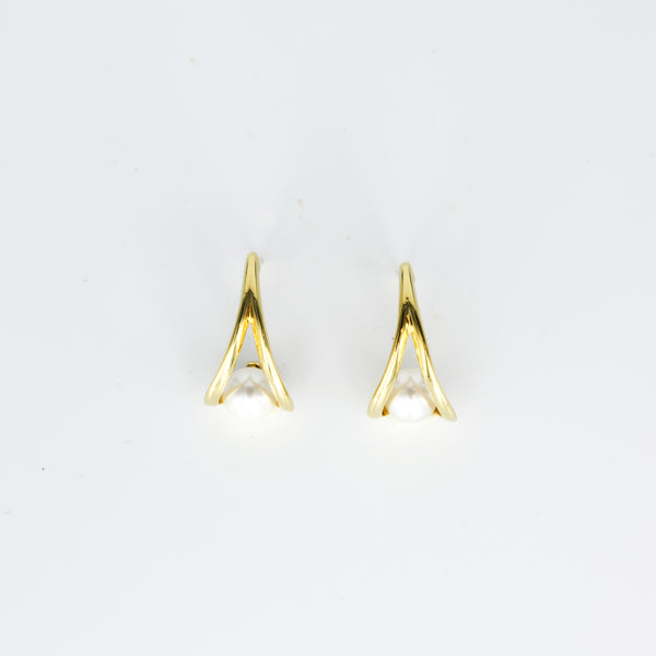 Raya Eardrops