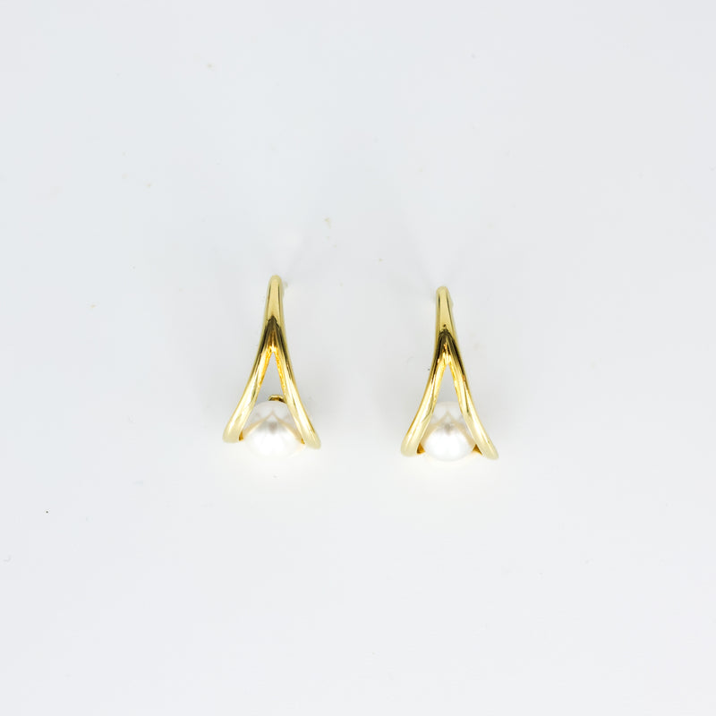 Raya Eardrops