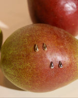 Pepito Studs