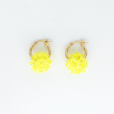 Bonbon Hoops Gold