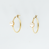 Louie Hoops