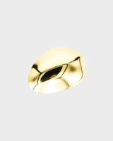 Ruth Brooch