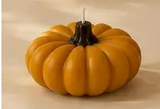 Pumpkin Candle (Various)