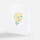 Mimosa - Greeting Card